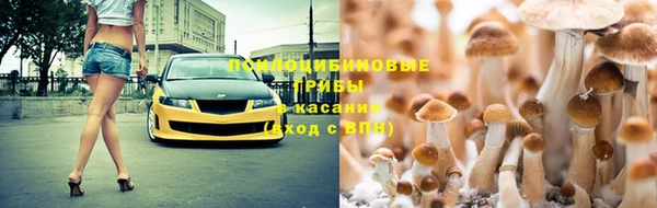синтетический гашиш Алексеевка