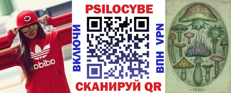 как найти закладки  Зуевка  MEGA ТОР  Галлюциногенные грибы Psilocybine cubensis 